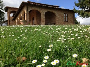 Farmhouse Andrea1